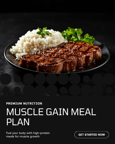 Muscle Gain Meal Plan